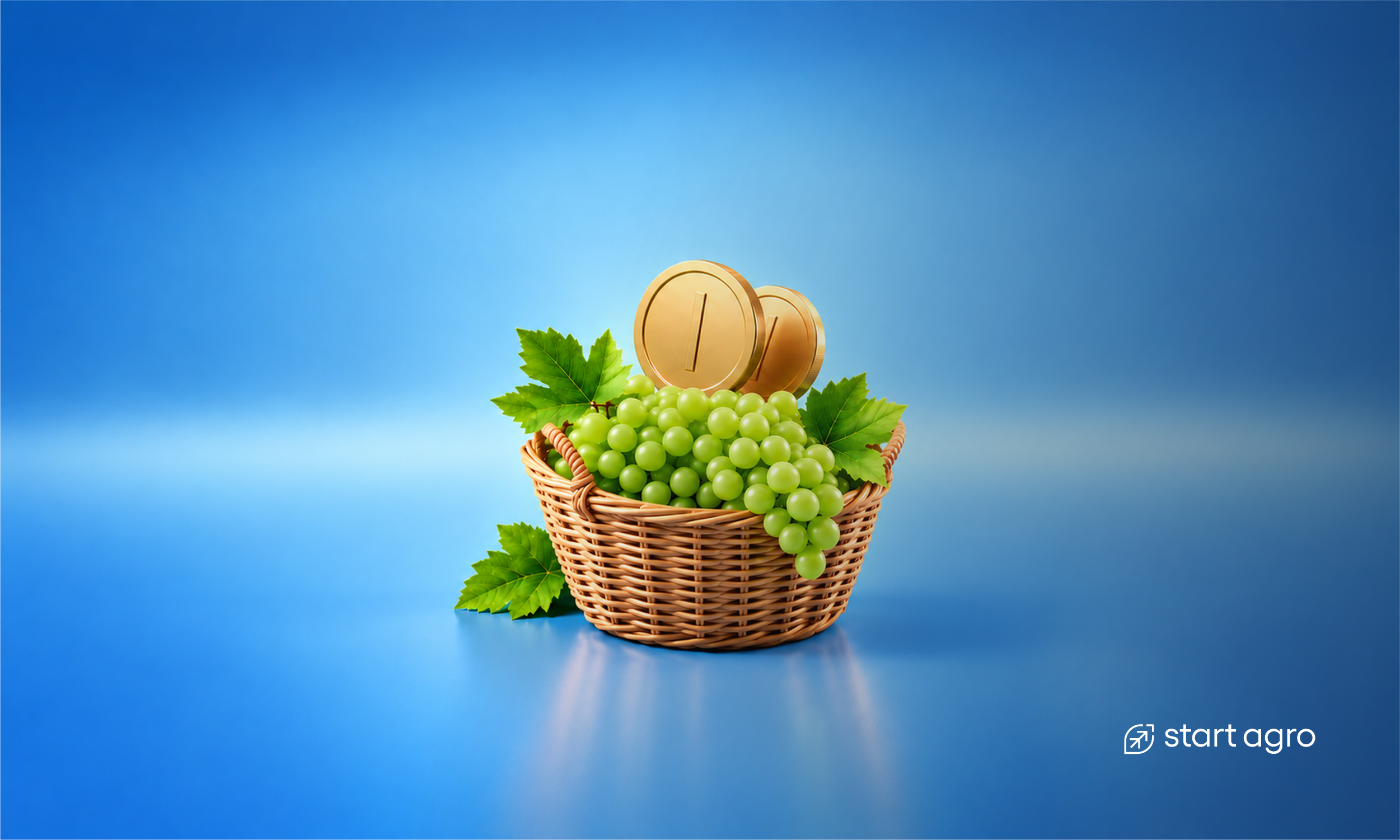 Start Agro_News_site_Douro